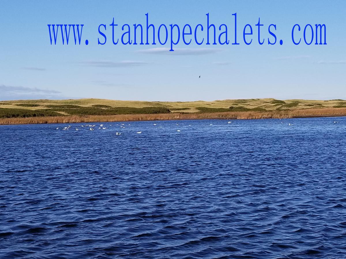 Hotel Merry Stanhope Chalets Exterior foto